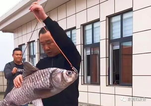 钓不动表情包大鱼