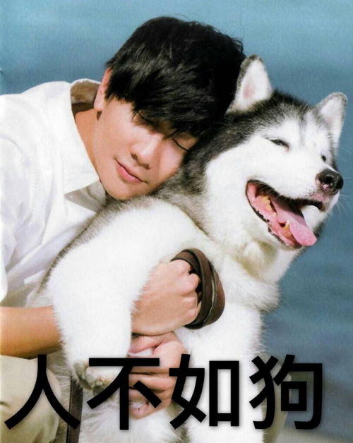 你有什么林俊杰的表情包