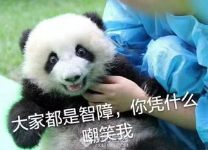 我尽量哭的很小声表情包熊猫