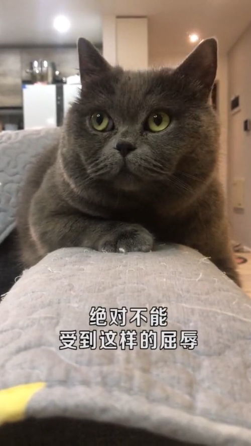 教你如何在剪刀石头布中百战百胜,虽然最后