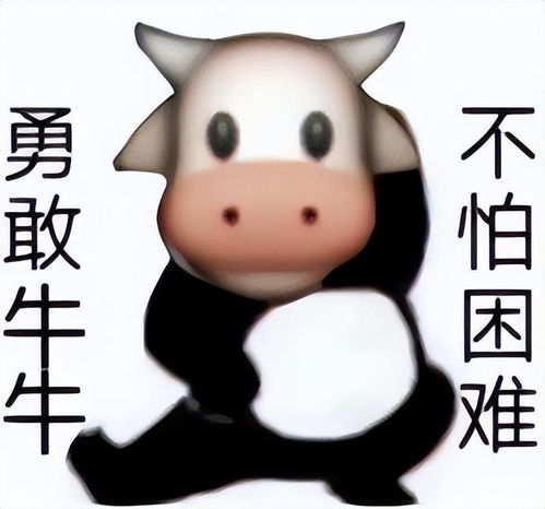 成龙大哥都来了这档节目真的是巨星云集哎谁不看谁吃亏