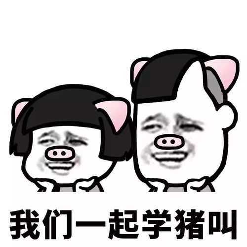 在线学猪叫,这段视频让人笑了哭,哭了笑