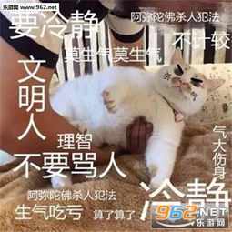 人生不如意之事十之八九表情图片莫生气别生气的表情包下载乐游网游戏下载