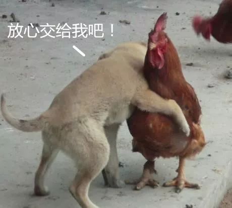 2018年,我给盛大游戏定了一个小目标,希望