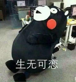 一不小心得罪奥运摄影师,运动员就变成了表情包