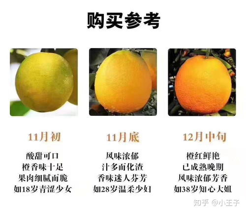 赣南脐橙开始上市了,你们都在哪里买的赣南脐橙