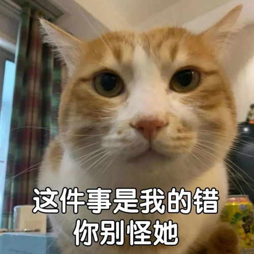抖音最火表情包丨加油表情包图片大全加油