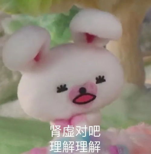 表情包我只想做你的舔狗