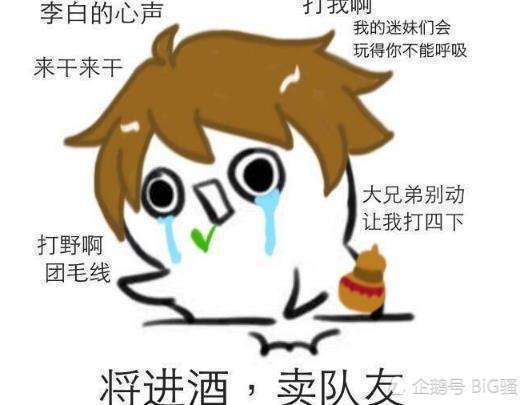 上分起码也要先上个铂金呀