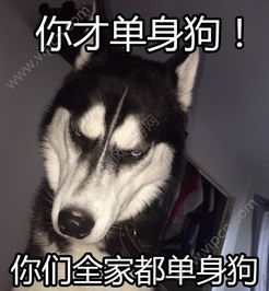 2017情人节虐狗表情包下载2017情人节虐狗表情包高清版v1.0下载清风安卓软件网