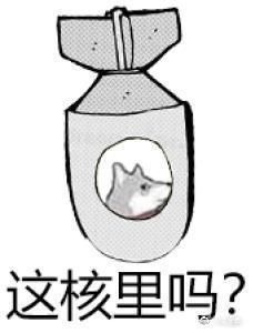 合理河狸谐音梗系列表情包