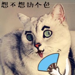 新闻哥女生都喜欢浪漫的男朋友