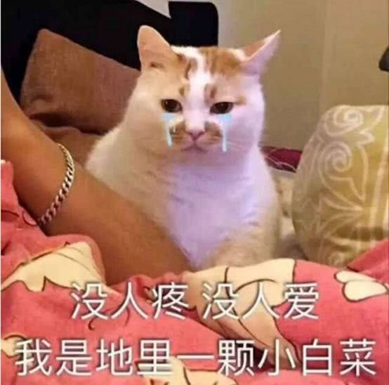 比变老变丑更可怕的事,娱乐圈大多数明星都没躲过