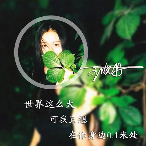 2019猪年了你该款换锁屏了,40张姓氏图中图壁纸送你,喜欢拿去
