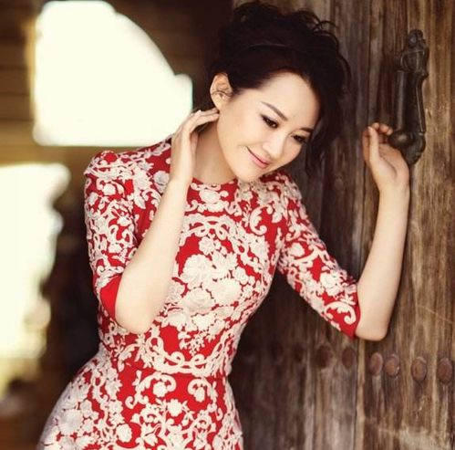 盘点娱乐圈事业红火感情却空白的8大女星最后一位择偶标准非常低