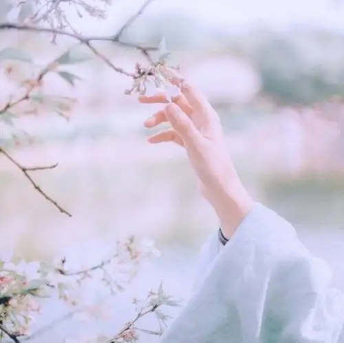 当微风起,一切宛如昨日般静谧