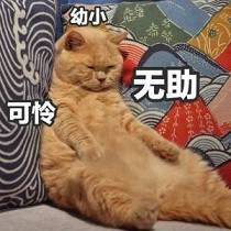 分红型保险到底有多坑