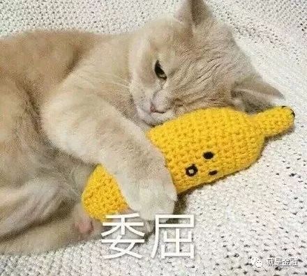 aa债券之殇,谁该负最终责任