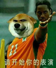 天津相声广播可以说非常豹笑了