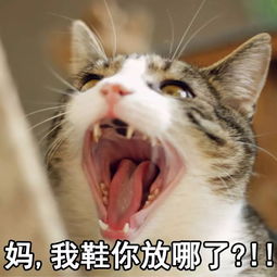 热点这就是国庆假期结束后我的生活状态,哈哈哈哈哈