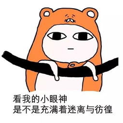 昨天春分似夏至,今日风吹如冬至