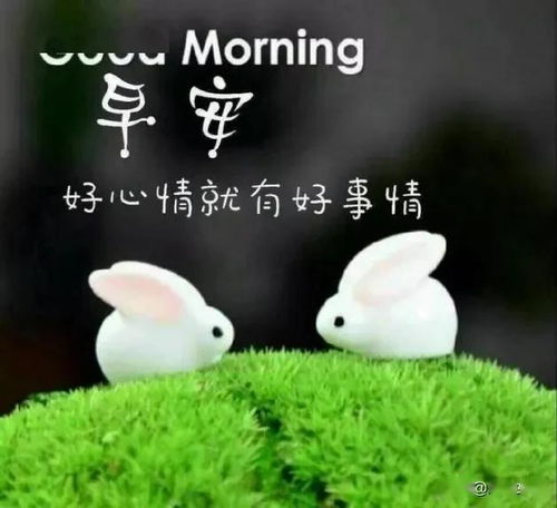 人生贵在知足,不要太多索求心态贵在珍惜,不要任意挥霍,早安