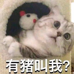 王者荣耀名字竖着怎么搞得