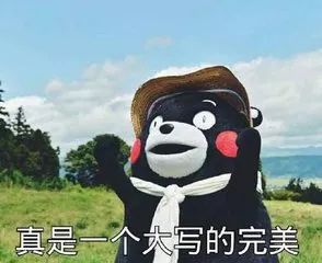 骂胖子表情包哈兰德