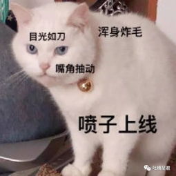 惑霸总买原子弹当烟花放...网络小说有多迷惑