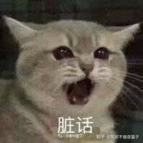 假新闻表情包偷吃