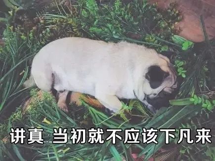 天气丨周末最高温重回20但别高兴太早,因为下周......