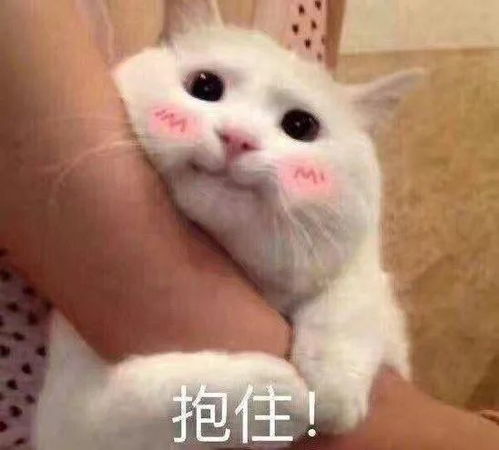 聊天必备无敌可爱撩人表情包,嗨不起来算我输赶紧收藏