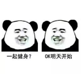 好朋友就要一起慢慢长胖,你是不是也这样