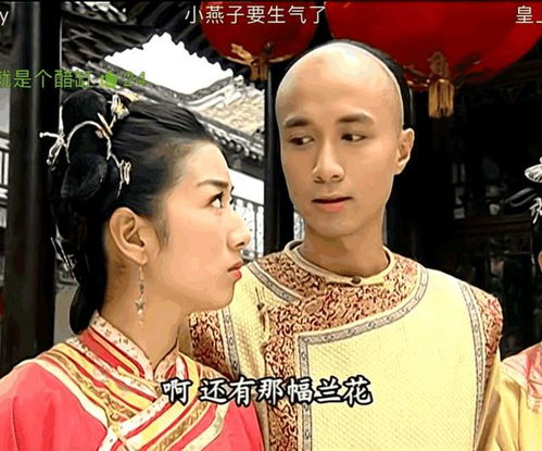 还珠知画献舞时,有谁注意到永琪恶心的表情变心了