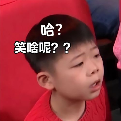 春晚挠头哥疑惑弟一夜爆火,网友比明星抢镜的是观众