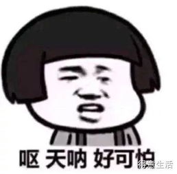 微信重磅更新表情包斗图有大变化看到第1个就不淡定了