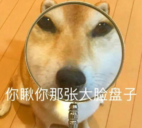 为什么你长得很好看,却穿啥都丑啊
