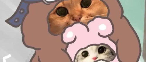花栗鼠表情包情侣超级爱你