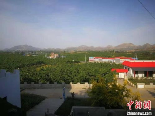 河北顺平紧盯京津雄安产业转移打造承接项目主战场
