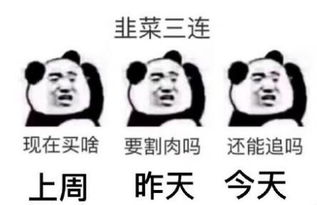 要疯了的表情包玩疯了