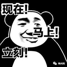 速来围观就在明天,梅州院士广场将有大事发生...不看后悔