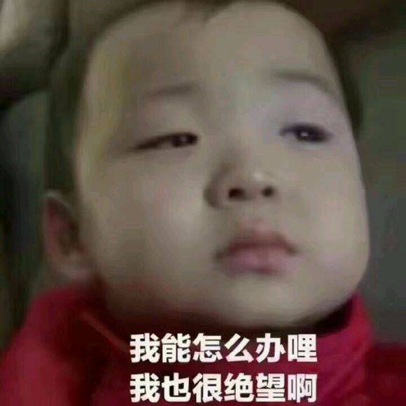 乖巧表情包宝宝视频短颈