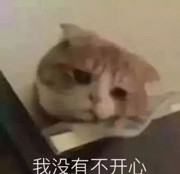 刀剑诗酒,再掀电影情义江湖