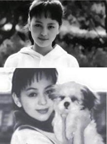 如今演婆婆妈妈的这些女演员,曾经也是大陆亿万少男少女的青春啊