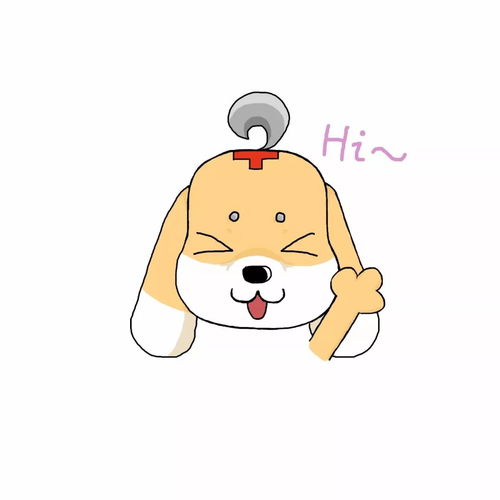 一起走进医学生的寒假生活3