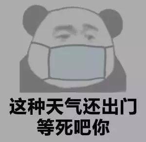 熊猫头表情包i门在那边滚