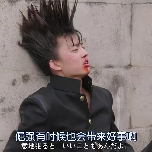 从今天开始做不良少年精品自制表情包