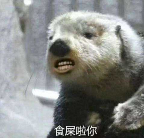 30张可以斗图的无水印表情包,光看看就够搞笑了