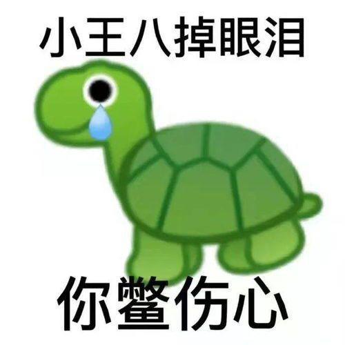 歇后语表情包真是王八买西瓜