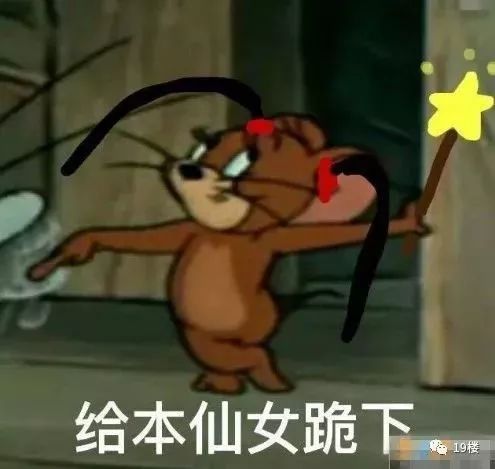 我没本事租一个月几万的房子所以活该被老鼠弄死史上最艰辛租房史